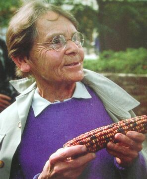 A picture of Barbara McClintock holding the maize she had studied to uncover the existence of transposons.
