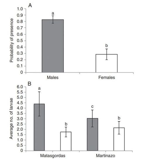 Figure comparing (a) the probability of larva presence by plant sex and (b) the average number of larvae by plant sex and study site. Color of the bars represent plant sex (grey = male plants and white = females plants). Different lower-case letters indicate significant differences between bars. Males plants have a higher probability of larvae presence, and male plants from the Matasgordas study site had the highest average number of larvae.